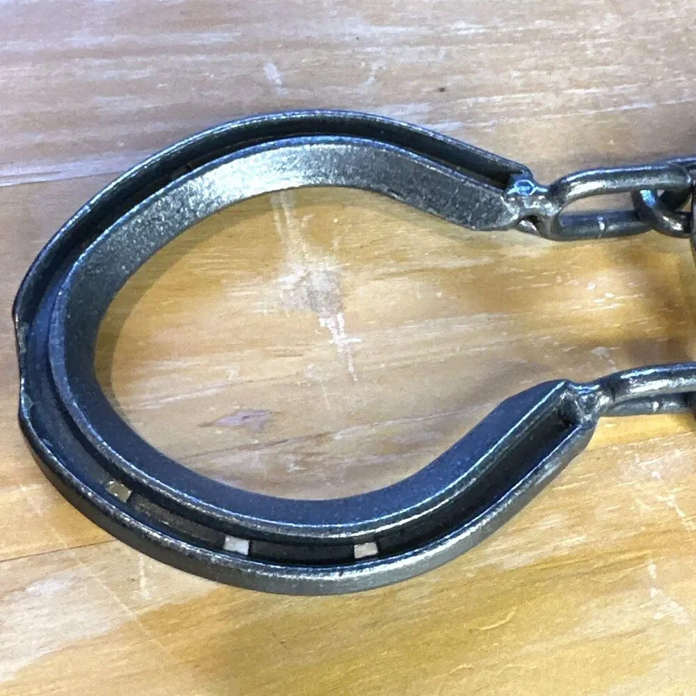 Horseshoe Chain Puzzle Hanayama Star Magic Trick Brain Teasers fun at home